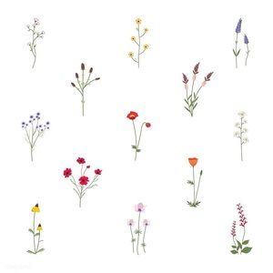 Meet your Posher, Lesley